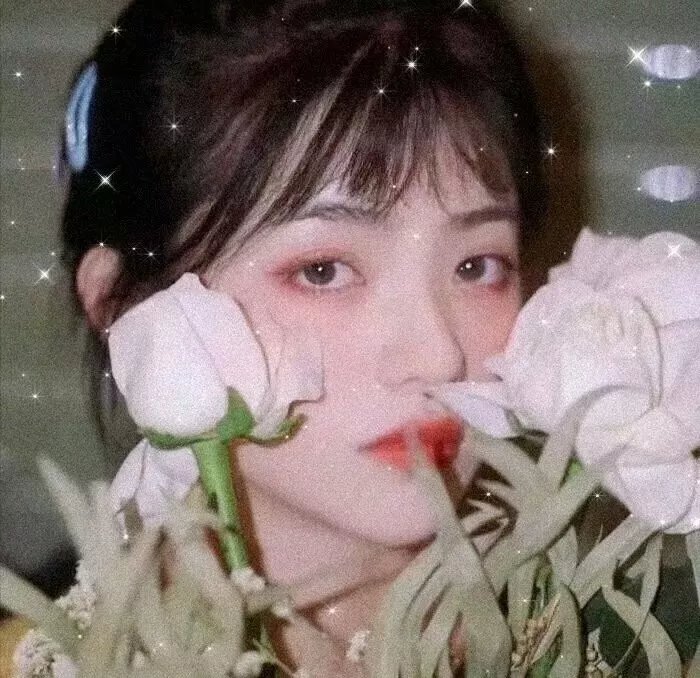 与你徒然